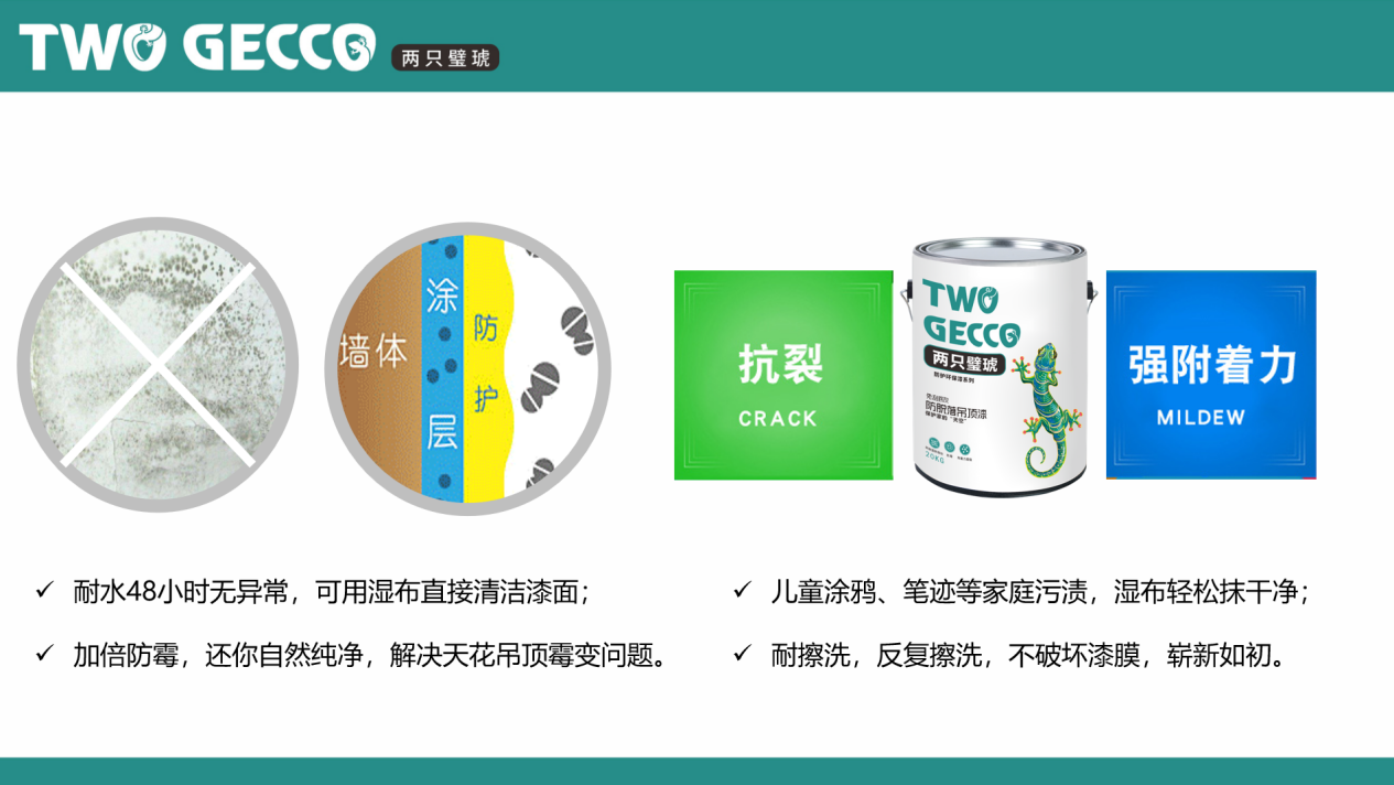 圖片7